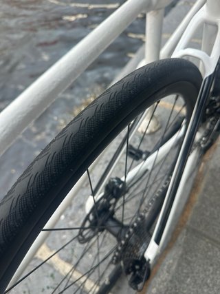 Wilier Triestina Garda M