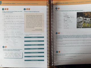 Lengua castellana y literatura, 1 Bachillerato