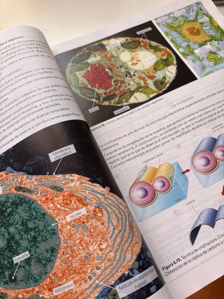 Biología 2º Bachillerato. Libro del estudiante....