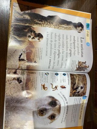 Dos libros sobre animales y africa