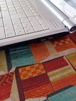 Packard Bell EasyNote T366 Portátil