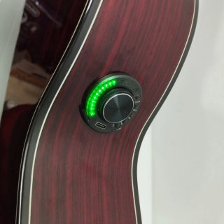 Guitarra Modesto Malla Tomasa