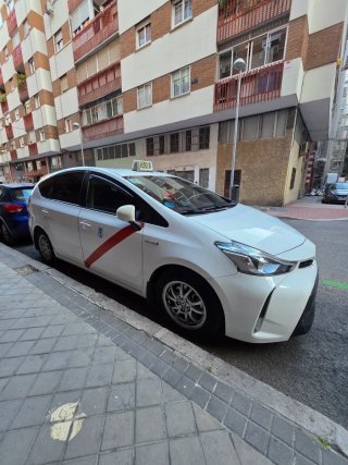 Toyota Prius+ 2019