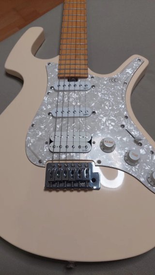 Guitarra Parker P32 HSS