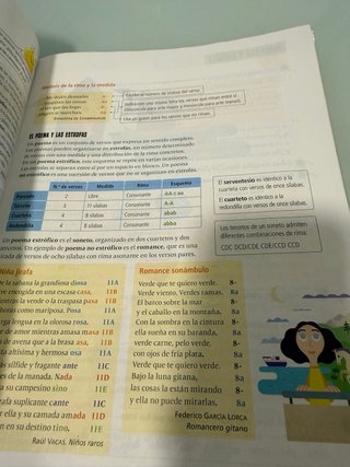 Lengua Castellana y Literatura 6, Tercer Ciclo ...