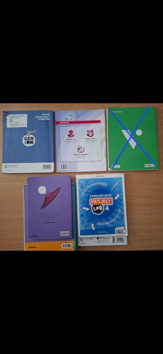 Lote libros 4° ESO. Buen estado. Sin subrayar