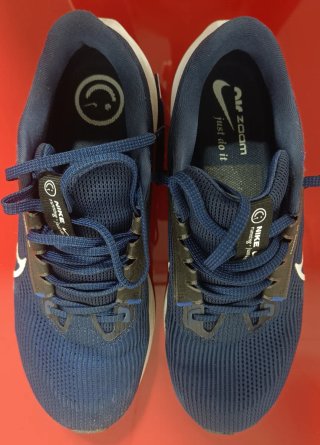 Nike Pegasus 40. Talla: 44