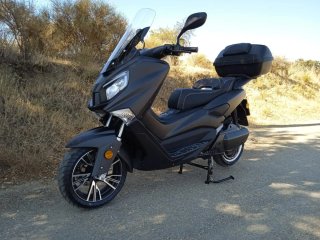 Efun Tiger