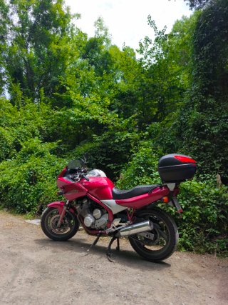 Yamaha XJ600S Diversion
