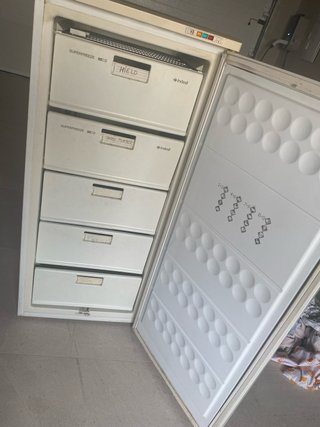 Congelatore Indesit GSF210WE Bianco con ritiro a Soneja