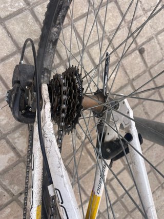 Bicicleta Megamo Blanca