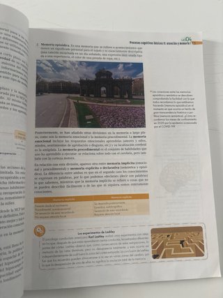 Psicología, Bachillerato