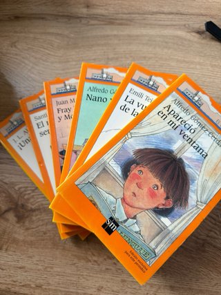 Lote de 7 libros infantiles y juveniles – Serie Am