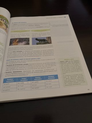 Libro Lengua y Literatura 1 Bachillerato.