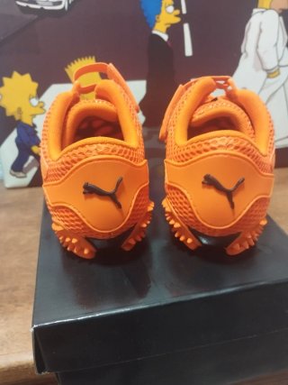 Puma mostro