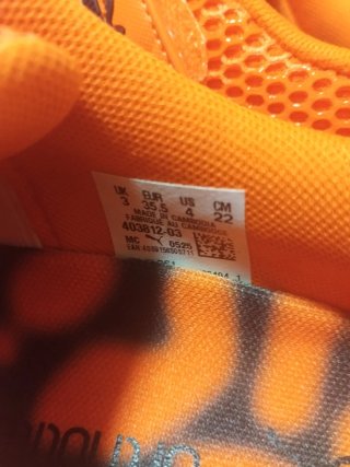 Puma mostro