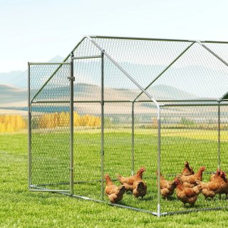 Gallinero Exterior Grande Acero Galvanizado
