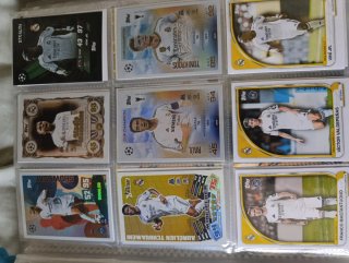 Intercambio o vendo cromos varios