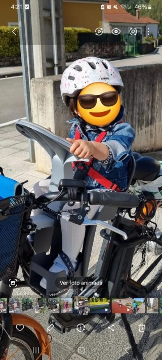 Silla bici delantera WeeRide