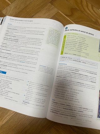Lengua y Literatura, 1 Bachhillerato