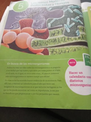 BIOLOGIA Y GEOLOGIA C-Leon 1ESO CONSTRUYENDO MUNDO