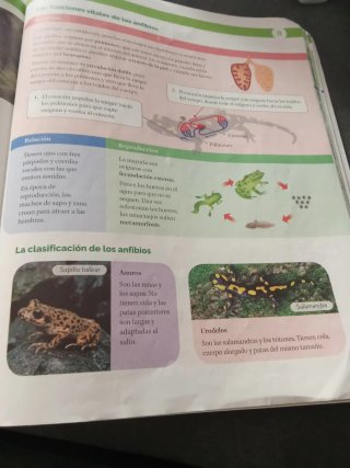BIOLOGIA Y GEOLOGIA C-Leon 1ESO CONSTRUYENDO MUNDO