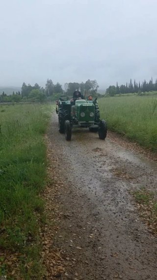 Tractor Deutz D-5006, 45CV, 1950 horas de trabajo.