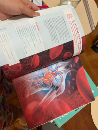 Anatomía Aplicada
