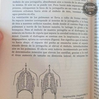 Karl Von Frish - La Biología