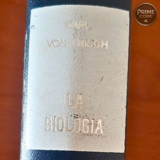 Karl Von Frish - La Biología