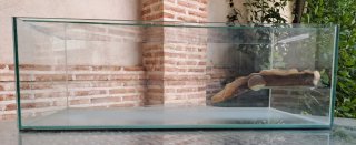 Tortuguera ICA 60cm Cristal