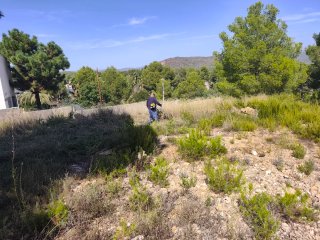 Parcela urbana en Montes del Palancia.