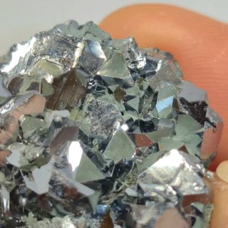 Galena cristalizada con clorita Borieva Bulgaria