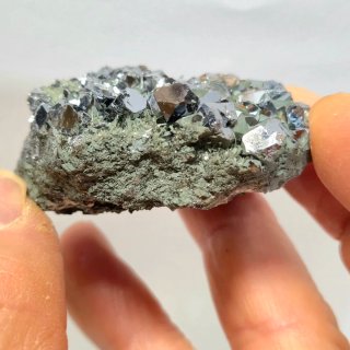 Galena cristalizada con clorita Borieva Bulgaria