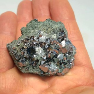 Galena cristalizada con clorita Borieva Bulgaria