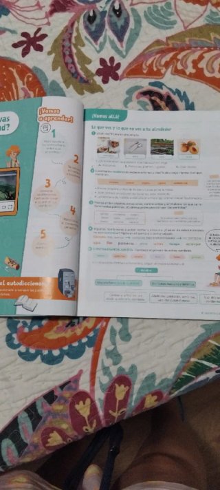 Lengua castellana y literatura, 5 Primaria Revuela