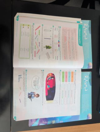 Lengua Castellana y Literatura . 6 Primaria.