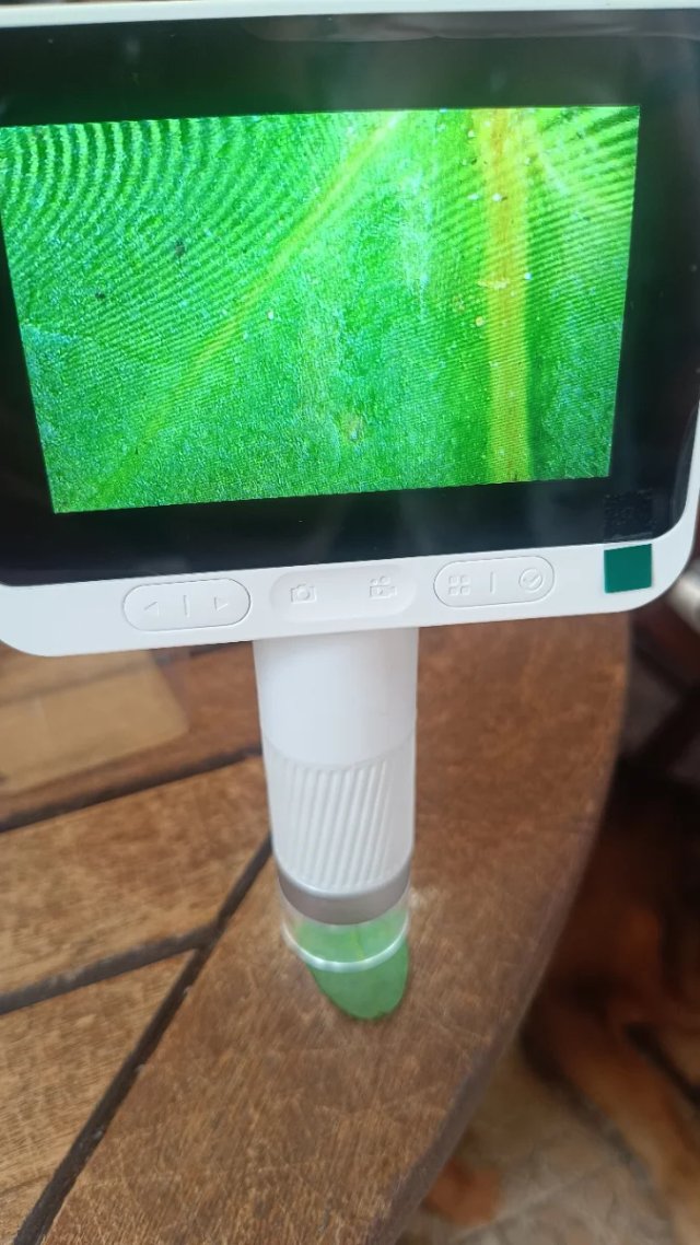 Microscopio Digital Beaverlab DARWIN M2