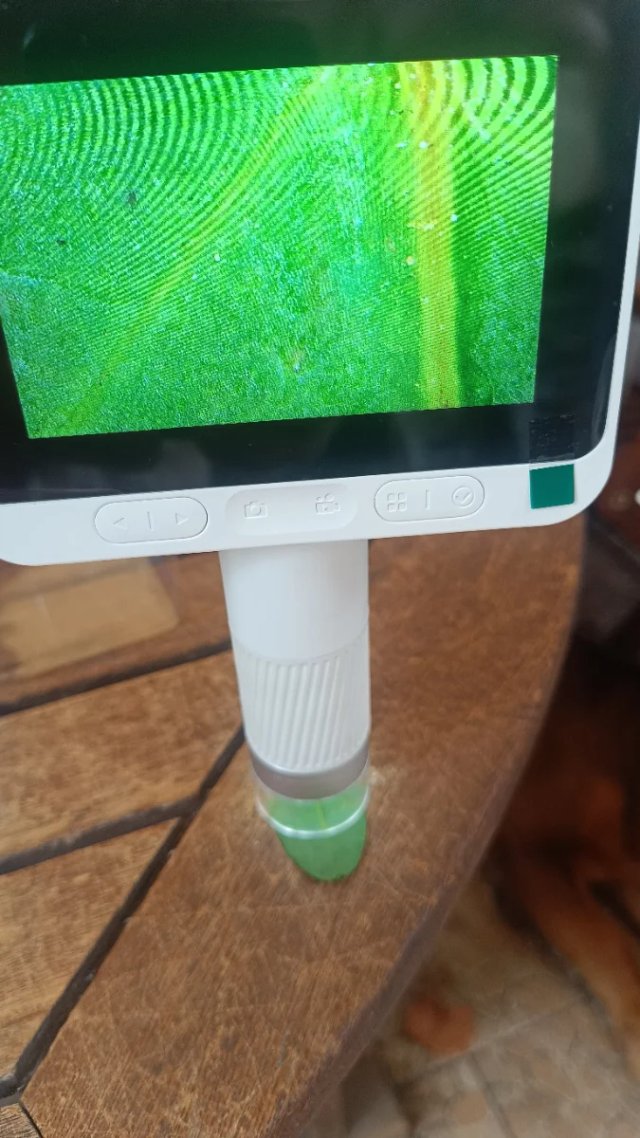 Microscopio Digital Beaverlab DARWIN M2