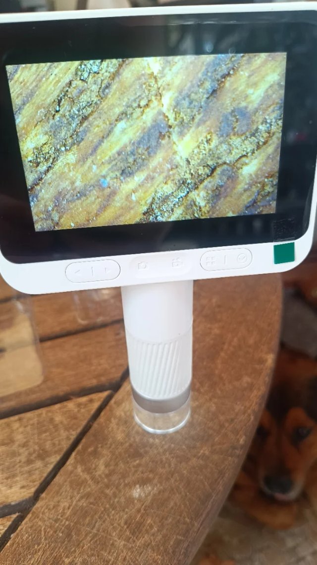 Microscopio Digital Beaverlab DARWIN M2