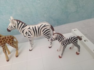 Playmobil Animales: Jirafas, Leones y Cebras HH