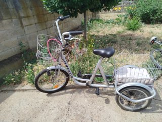Triciclo para adultos con cesta