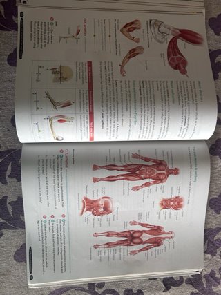 Biology & Geology 3º ESO. Student's book. GENiOX