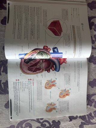 Biology & Geology 3º ESO. Student's book. GENiOX