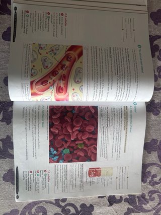 Biology & Geology 3º ESO. Student's book. GENiOX