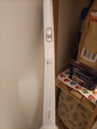 Aspiradora Bosch 25.2 V LithiumPower