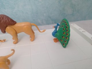 Playmobil Animales: León, Guepardo, Pavo Real HH
