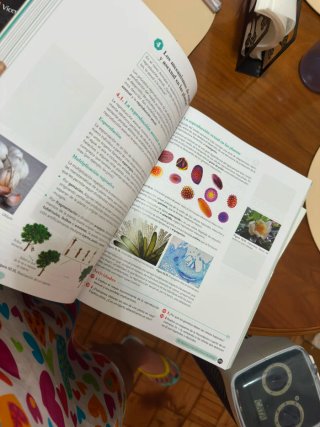 Biología, Geología y CC. Ambientales 1º Bachill...