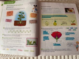 Libro Natural Science 4º Primaria Asturias