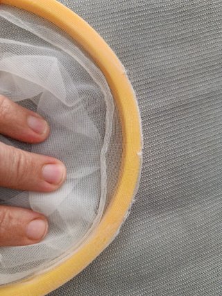 Juego de pesca para piscina